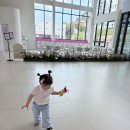 문라이트사이공노래클럽 | 경주 아기랑 가볼만한곳 경주코스믹 리조트 내돈내산 후기