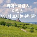 투어라인 이미지
