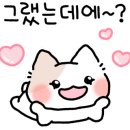 고양이묭실 이미지