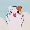 올바른사람들