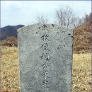 판관 조병로 불망비 | 가금면 가흥리 조병로영세불망비(趙秉老永世不忘碑)