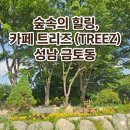 [성남 금토동 신상 카페] 숲속 힐링 아지트, '트리즈(TREEZ)' 솔직 방문 후기