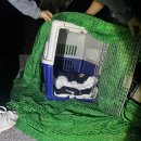 동물보육원 김포지부 이미지