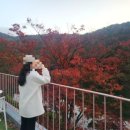 곰골식당 이미지