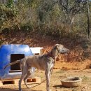 우리집족보 이미지