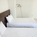 담제 | 제주독채펜션 담제 다녀온 후기