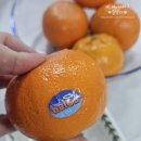 만다린 | 헤일로 만다린 후기 간편하게 먹기 좋은 캘리포니아산 귤 간식