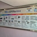 약동초교(병설) 이미지