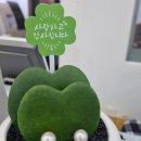 안경코리아세이본점 | 대전 문화동 오클리 안경 코리아 세이 본점