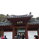 설악산 단풍구경 1박2일 다녀온 후기