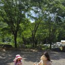 사담관광농원캠핑 이미지