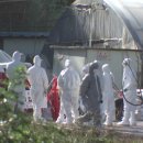 금양농장 이미지