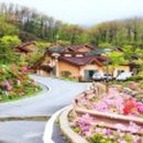 데미샘자연휴양림 이미지