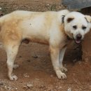 창용농장 이미지