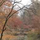 도곡3리 궁마을 이미지