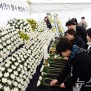 전북특별자치도청 실내체육관 이미지