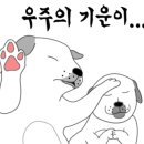 아리엘언니 이미지