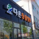 다온동물병원 | 근교 동물병원 / 광주 강아지 스케일링 어금니 발치 잘하는 다온동물병원 다녀온 후기 (과잉진료x, 친절 o)