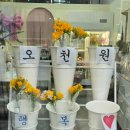 꽃빛소리 이미지