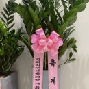 경희김앤안한의원 이미지