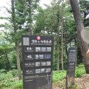 바람숲 | 부산 기장 아홉산숲 방문 후기