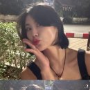 샘쿡