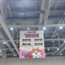 팻캣 | 대전 궁디팡팡 캣페스타 2026 후기 부스배치도 참가업체 주차 정리