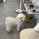 그릿죽전점 이미지