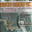 과우산악 · 사진 · 문화탐방회-오월'소금산 출렁다리' 나들이(2-1) 이미지