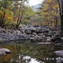 치산관광지 이미지