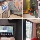 노래야노래야코인노래연습장 네이버블로그