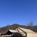 달빛글램핑장 | 애견동반 글램핑 in 포천 달빛 글램핑장🏕️