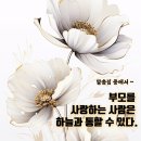 소3-121 Daum카페