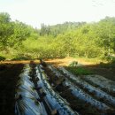 휴양림약수 이미지