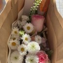 화요일애 네이버블로그