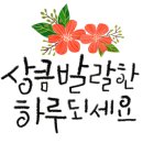 꾸안꾸밈
