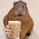 부광로8번길 이미지