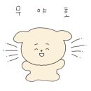 깔끔이스팀세차 이미지