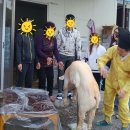 일신사 이미지