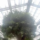 경주동궁원 이미지