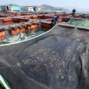 그늘막61 이미지