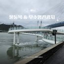 울돌목 숭어 | 전남 해남 가볼만한곳 명량대첩 울돌목 스카이워크 숭어낚시 우수영관광지 명량해상케이블카