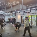 성공다이어트짐 이미지
