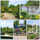 (전주) 여행 가볼만한곳 4월 27일 장미꽃 개화 현황 한국도로공사 전주수목원 입장료. 주차비 무료