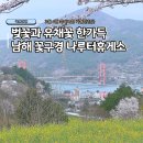 남해-52 | 3월 4월 국내여행 남해 꽃구경 가볼만한곳 나루터휴게소 벚꽃 유채꽃 방문후기