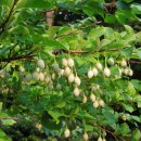 치유하는 글쓰기 이미지