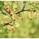 광주은행사거리 이미지