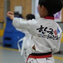 용인대 효 태권도 이미지