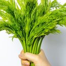 해원농장 이미지