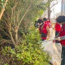 동삼1동-1 이미지